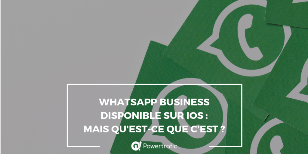 WhatsApp Business disponible sur iOS : mais qu'est-ce que c'est ?